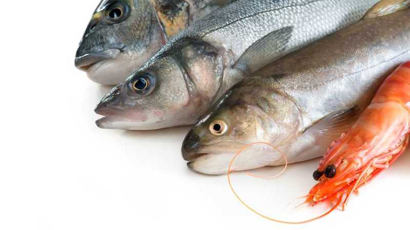 allergie-crustaces-poissons